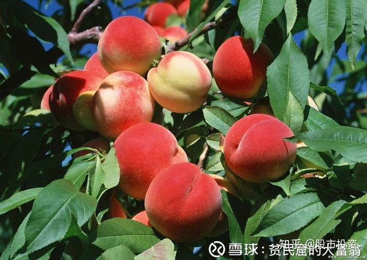 上市公司財務報表分析(東風股份有限公司報表財務)(圖10)